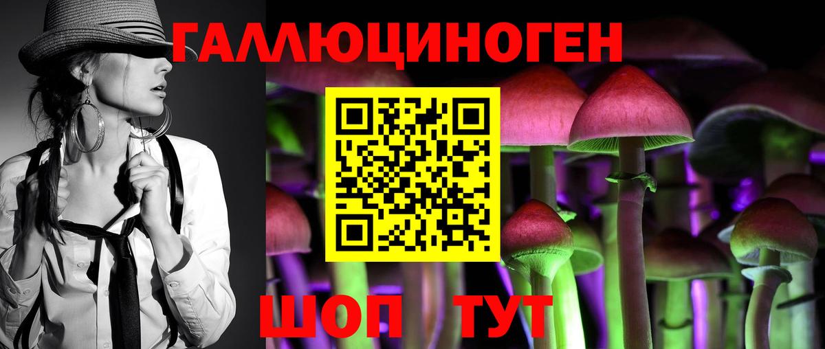 Галлюциногенные грибы Psilocybe  Вход с VPN  Коркино 